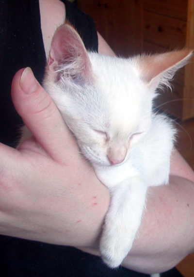auf_der_hand_eingeschlafen.jpg